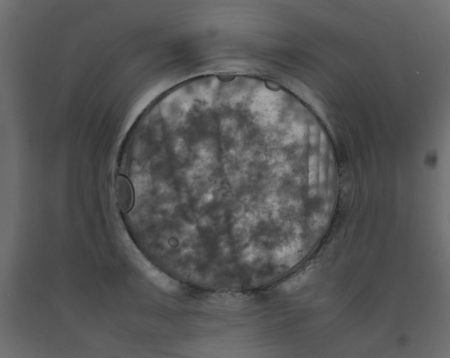 X0000092091091200710101056