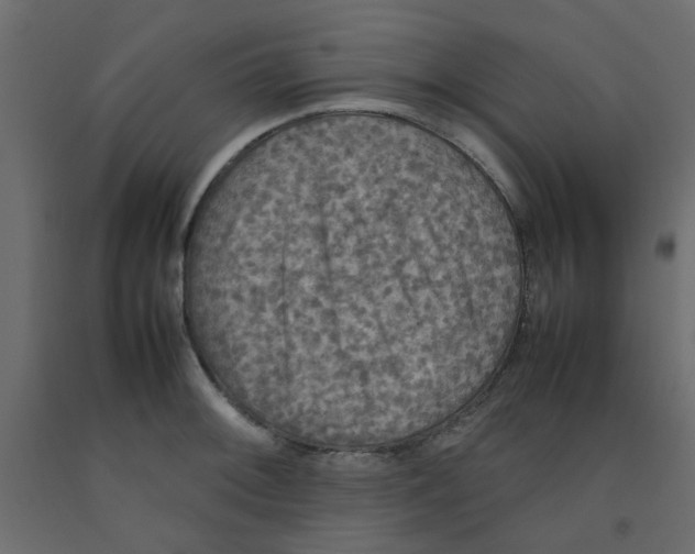 X0000092091092200710101056