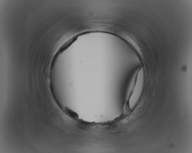 X0000092091093200710101056