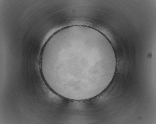X0000092091094200710101056
