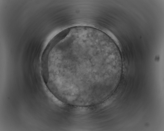 X0000092091096200710101056