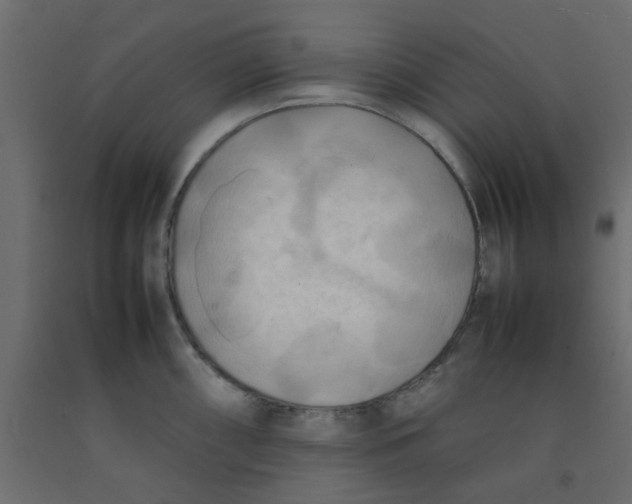 X0000092091098200710101056