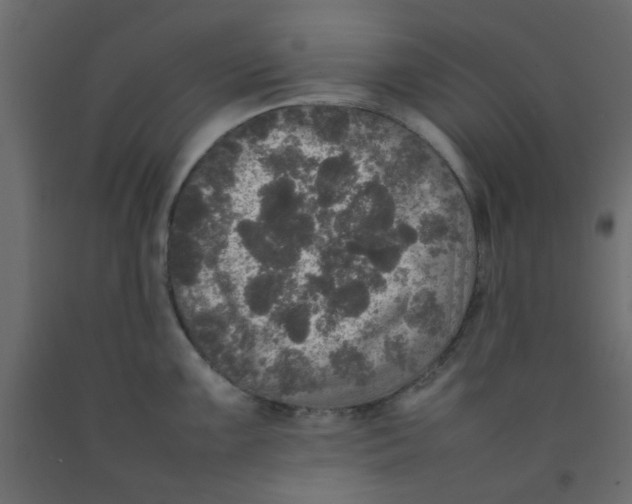 X0000092091099200710101056