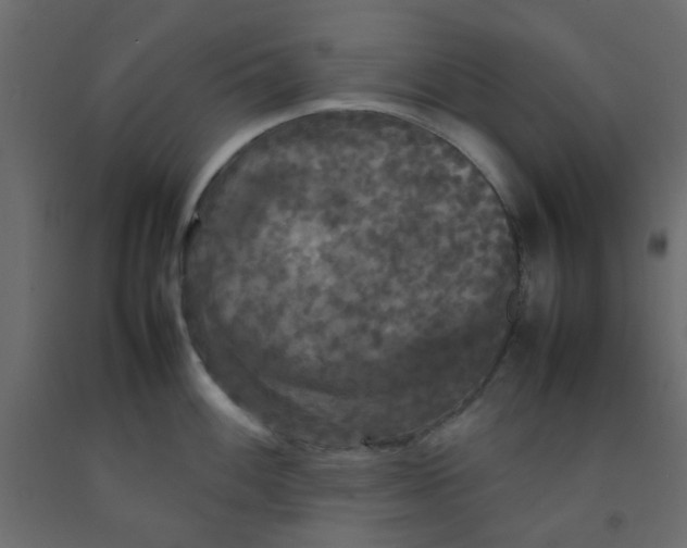 X0000092091100200710101056
