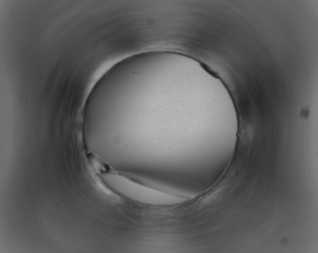 X0000092091102200710101055