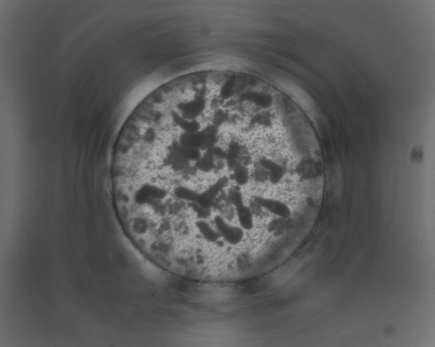 X0000092091103200710101055