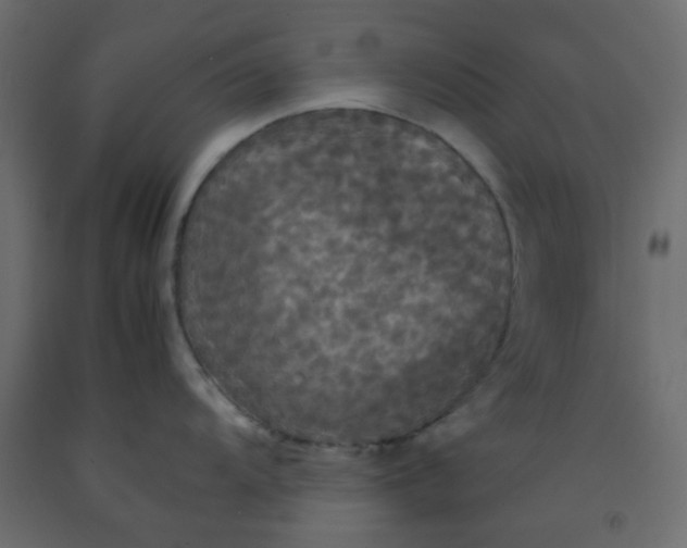 X0000092091104200710101055