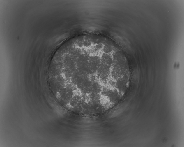 X0000092091105200710101055