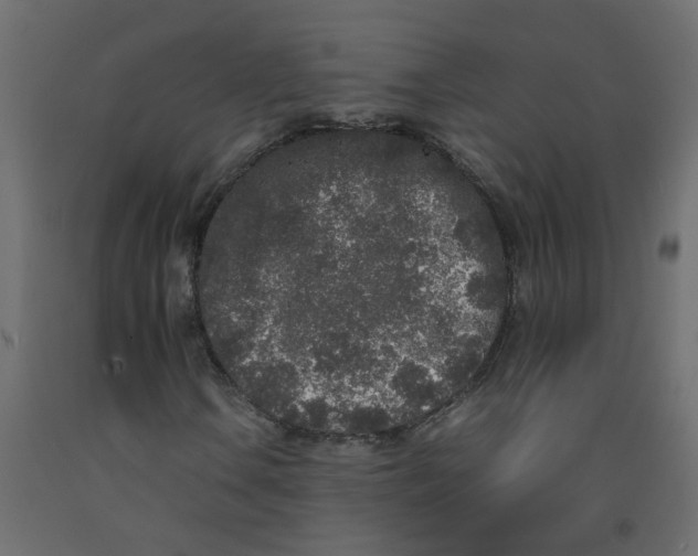 X0000092091106200710101055