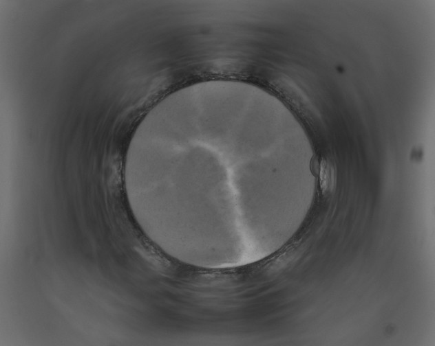 X0000092091107200710101055