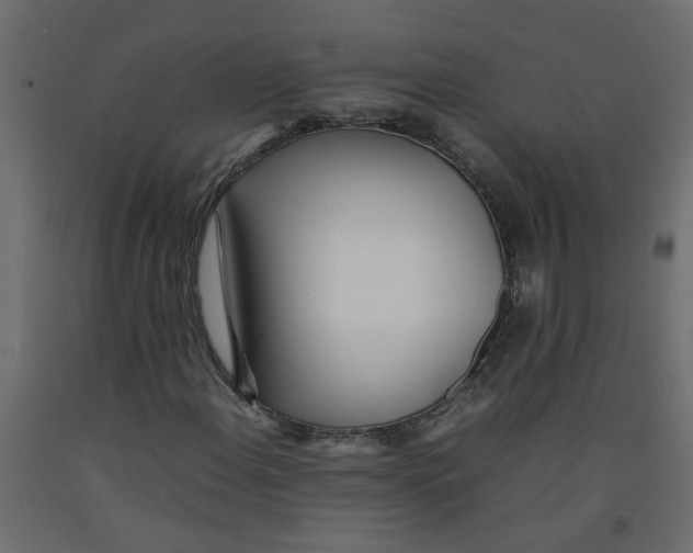 X0000092091108200710101055