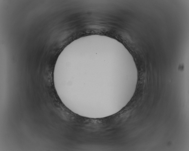 X0000092091109200710101055