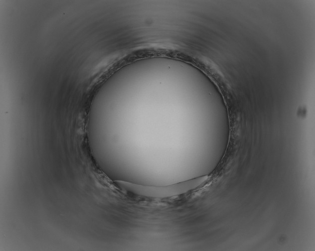 X0000092091110200710101055