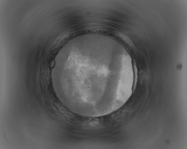 X0000092091111200710101055