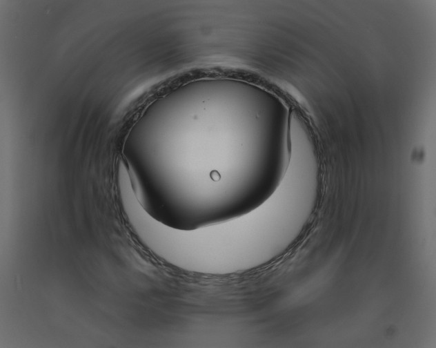 X0000092091112200710101055