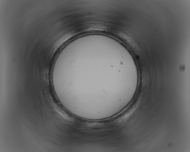 X0000092091113200710101055