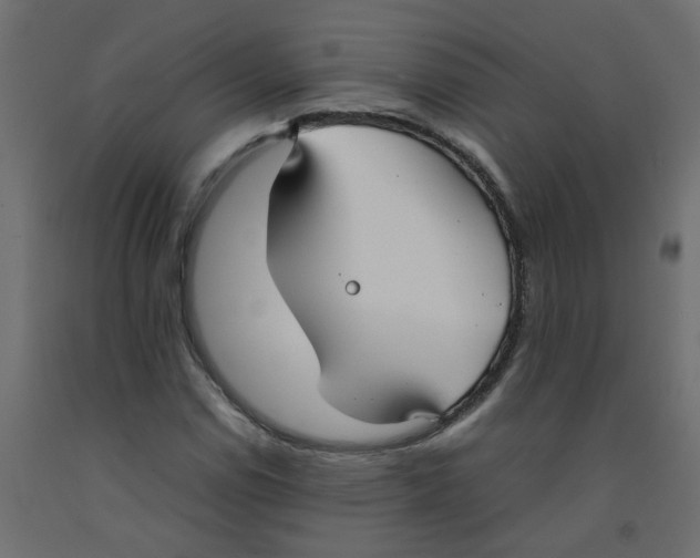 X0000092091114200710101055