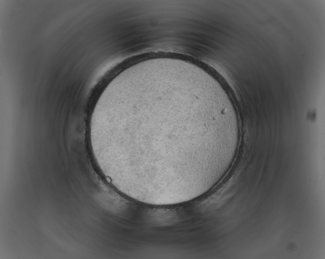 X0000092091115200710101055