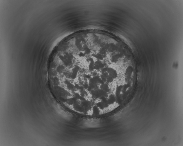 X0000092091117200710101055