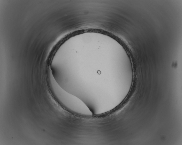 X0000092091118200710101055