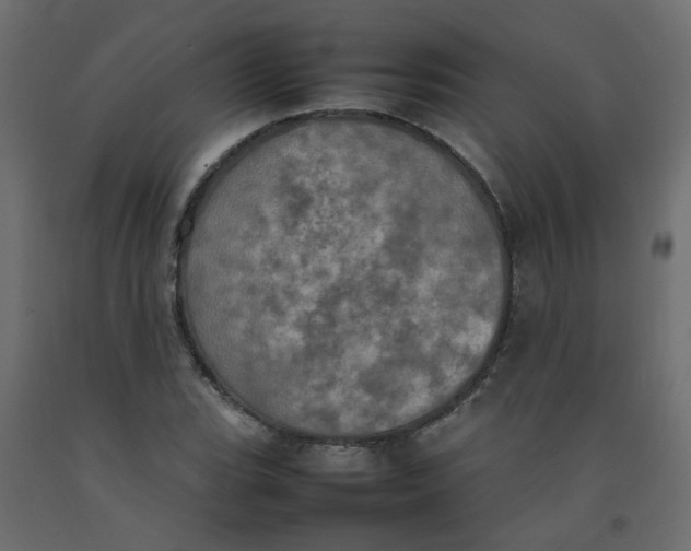 X0000092091119200710101055