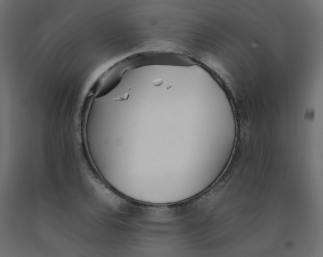 X0000092091120200710101055