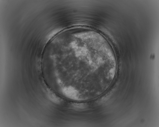 X0000092091121200710101055