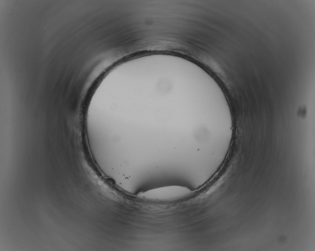 X0000092091122200710101055