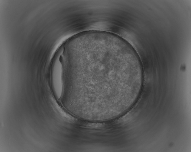 X0000092091123200710101055