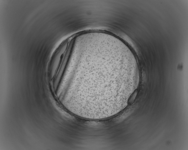 X0000092091124200710101055