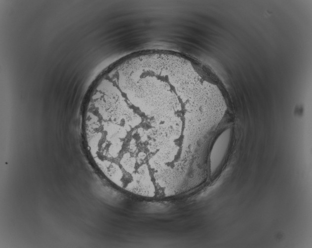 X0000092091125200710101055