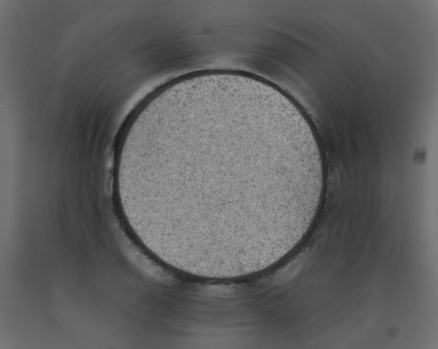 X0000092091126200710101055