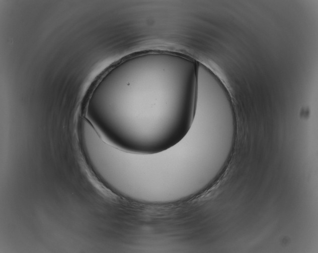 X0000092091128200710101055