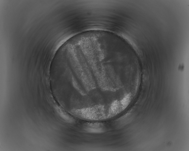 X0000092091129200710101055