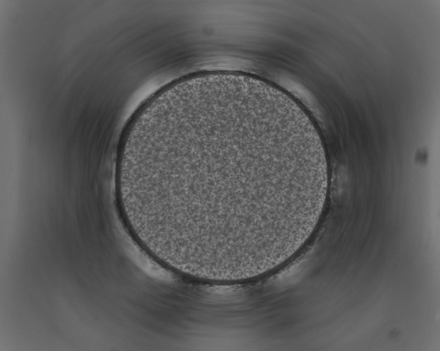 X0000092091130200710101055