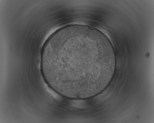 X0000092091131200710101055