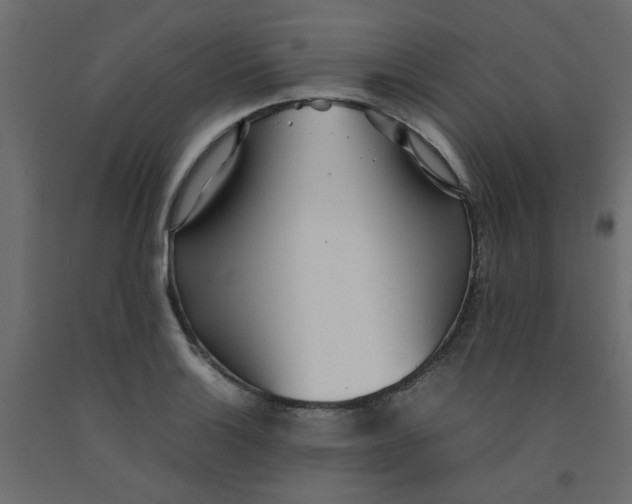 X0000092091132200710101055