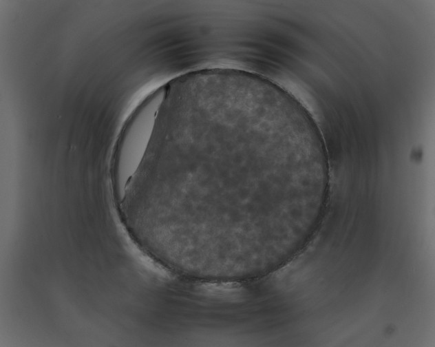 X0000092091133200710101055