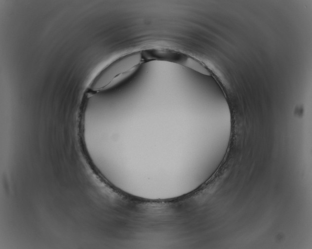 X0000092091134200710101055