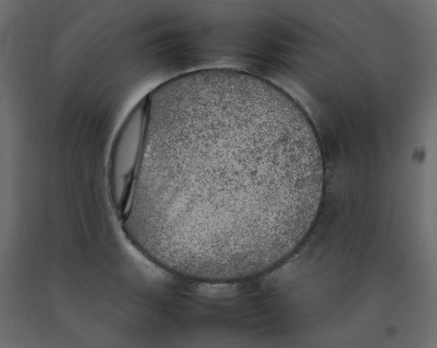 X0000092091135200710101055