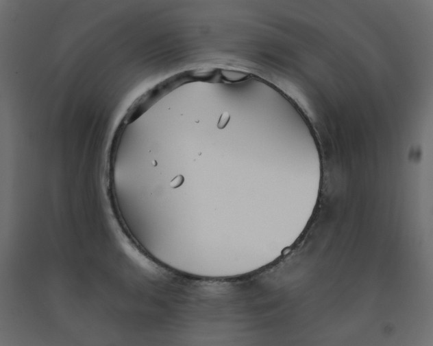 X0000092091136200710101055