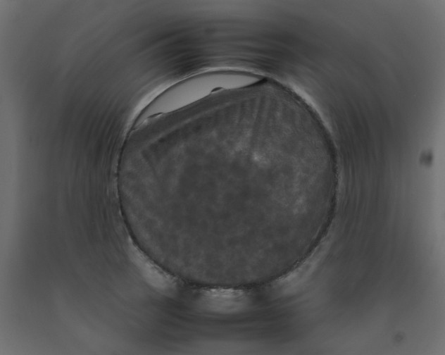 X0000092091137200710101055