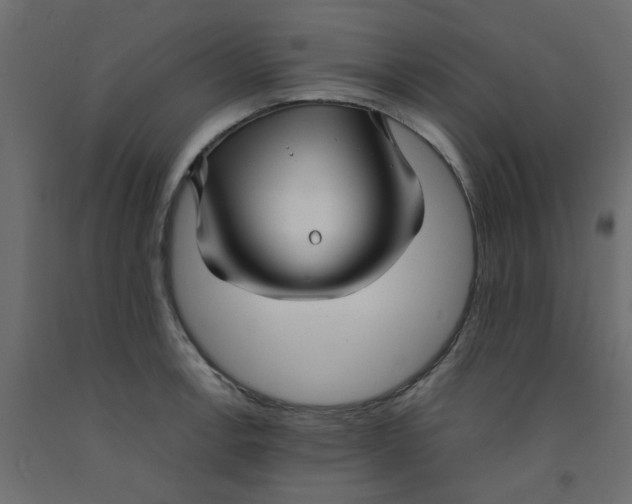 X0000092091138200710101055