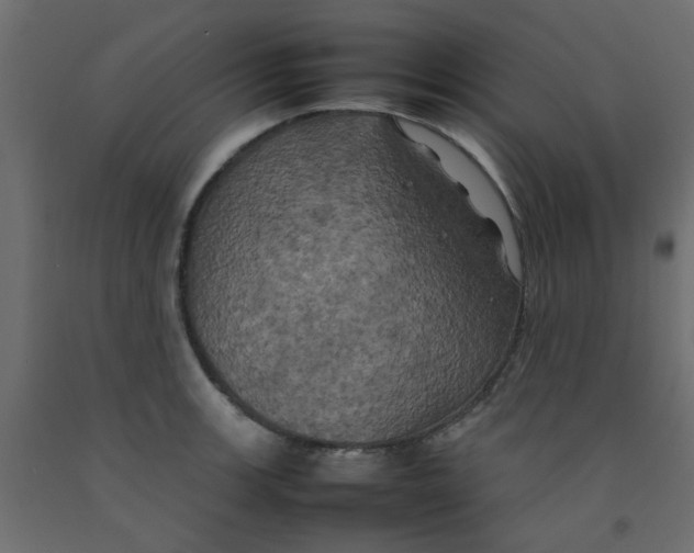 X0000092091139200710101055