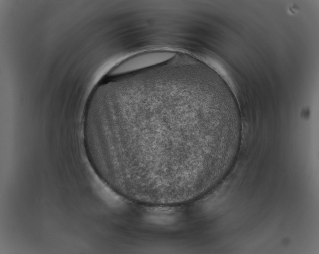 X0000092091141200710101055