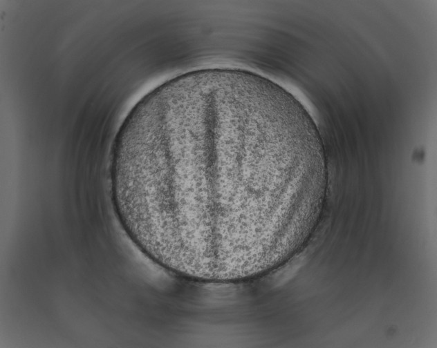 X0000092091142200710101055
