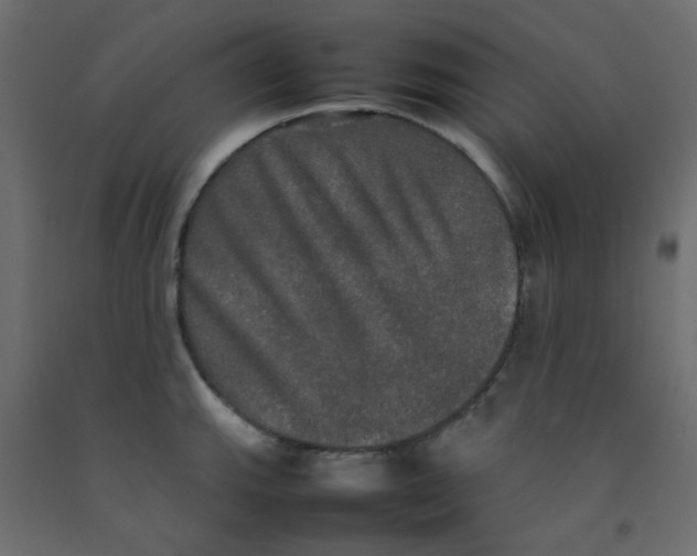 X0000092091143200710101055