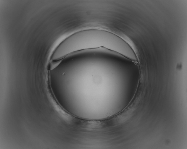 X0000092091144200710101055