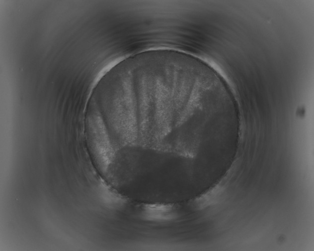 X0000092091145200710101055