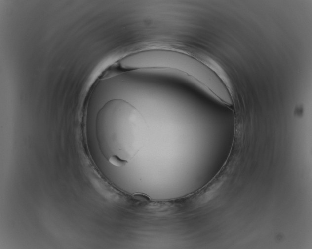 X0000092091146200710101055